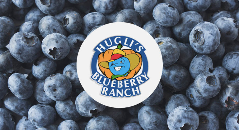 Hugli's Blueberry Ranch
